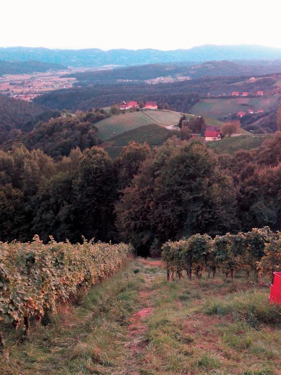 Gaestehaus Grasch Kitzeck im Sausal Buitenkant foto