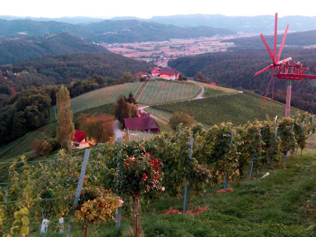 Gaestehaus Grasch Kitzeck im Sausal Kamer foto
